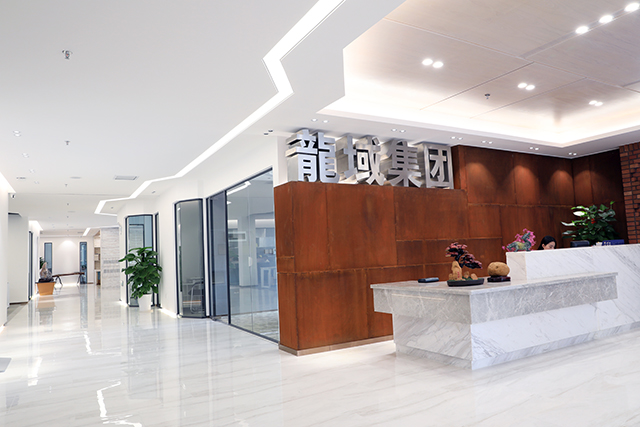 广东龙域建设集团