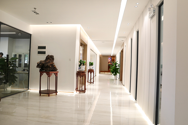 广东龙域建设集团